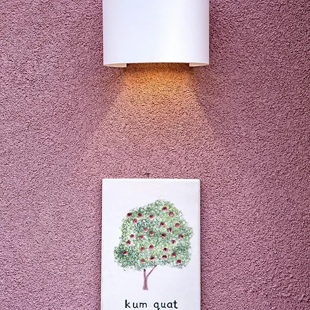 Cabană Kumquart Estate- Kumquat